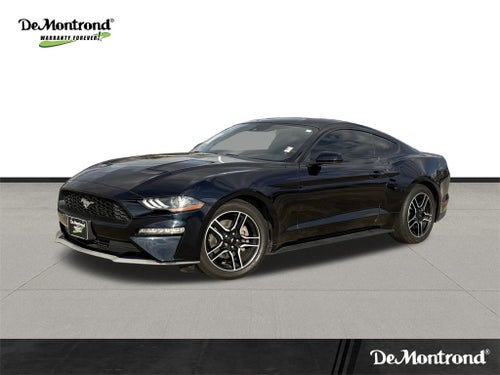 2021 Ford Mustang EcoBoost