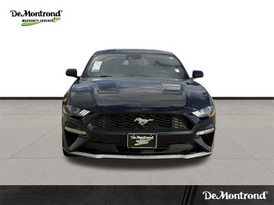 2021 Ford Mustang EcoBoost