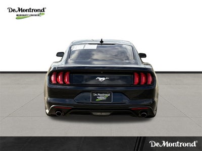 2021 Ford Mustang EcoBoost