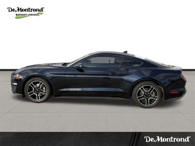 2021 Ford Mustang EcoBoost