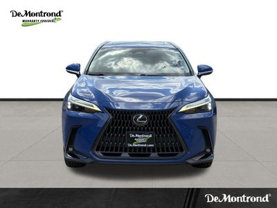 2023 Lexus NX 250 Premium