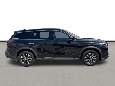 2023 INFINITI QX60 PURE
